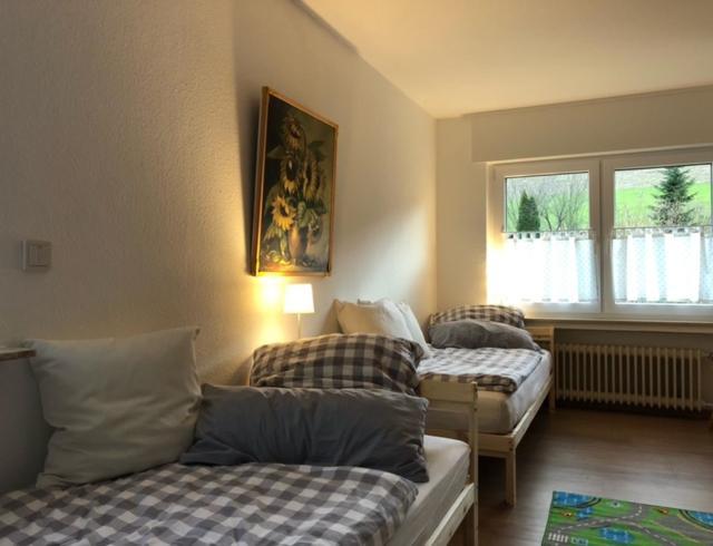Ferienwohnung Paeusken Im Hochsauerland- E- Bike Und Auto Laden Moeglich Bestwig Exterior foto